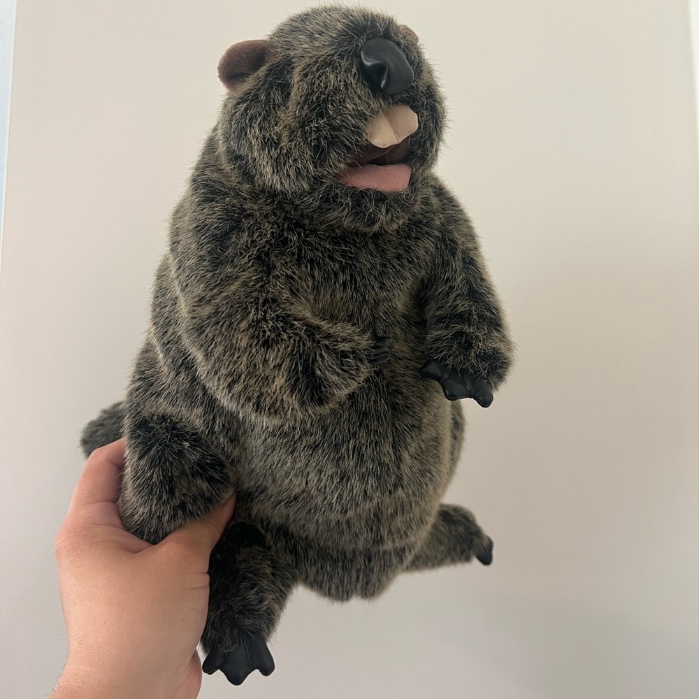 Folkmanis Groundhog Full Body Puppet #2317 Rare NWOT